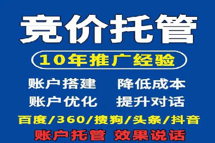 竞价推广公司案例：实战技巧与策略