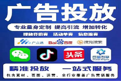 谷歌竞价广告与SEO结合的营销案例解析
